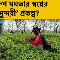 সুপারফ্লপ মমতার স্বপ্নের প্রকল্প? কেন সরকারের করা ঘরে যাচ্ছেন না চা শ্রমিকরা? অনুসন্ধানে HT বাংলা