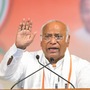 কংগ্রেস সভাপতি মল্লিকার্জুন খাড়গে। (PTI)