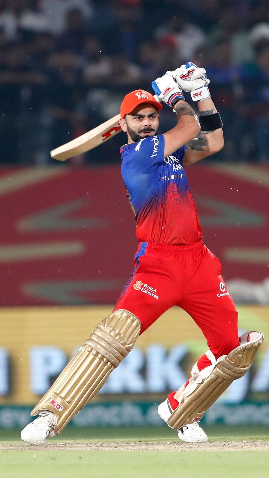 ১টি শতরান ও ৫টি হাফ-সেঞ্চুরি, IPL 2024-এর ১২টি ইনিংসে কেমন খেলেছেন কোহলি?