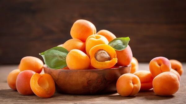 Health Benefit of Apricot: চোখের সমস্যায় দারুণ উপকারী অ্যাপ্রিকট, একাই একশো! ওজন কমাতেও এর জুড়ি মেলা ভার