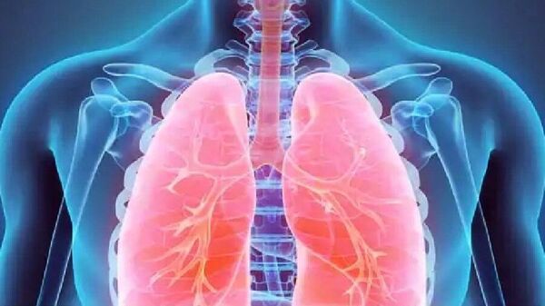 ফুসফুসের সমস্যায় অমৃতের সমান এই ৫ খাবার! দূর করে হাঁপানিও – These 5 foods are very beneficial for lung problems! Also helps cure asthma