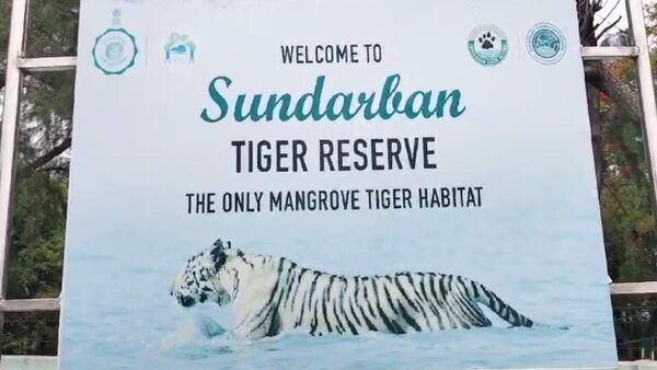 Sundarbans: মাথায় ‘কুডুলের কোপ’, সুন্দরবনে চোরা শিকারিদের হাতে খুন বনকর্মী