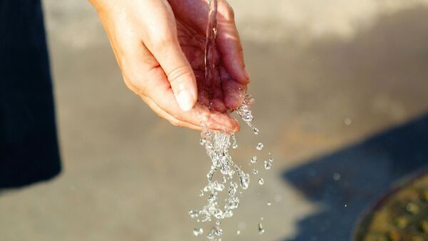 Gurugram Water Crisis: পানীয় জলে গাড়ি ধুলেই জরিমানা ৫,০০০ টাকা! অপচয় ঠেকাতে বড়সড় পদক্ষেপ