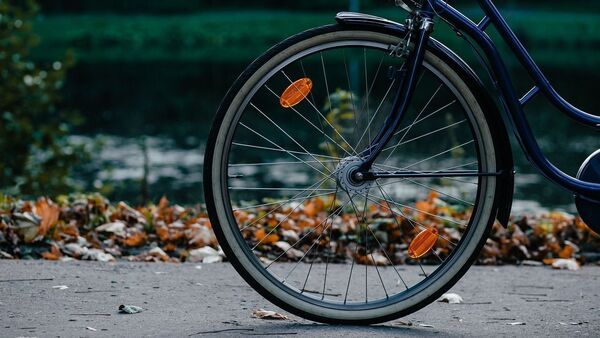 World Bicycle Day: জিমে নয়, রাস্তায় চালান সাইকেল, পাবেন এই ৫টি উপকার – Ride a cycle on the road, not in the gym. Get these 5 benefits