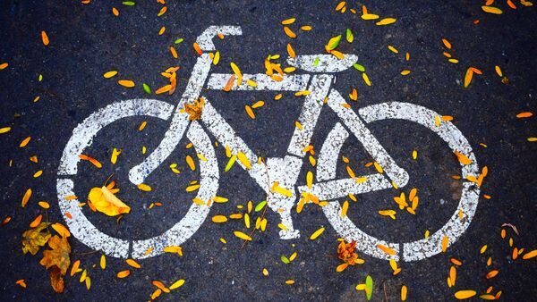 World Bicycle Day 2024: কেন পালিত হয় বিশ্ব বাইসাইকেল দিবস? তারিখ, ইতিহাস, তাৎপর্য কী, আপনার যা জানা দরকার