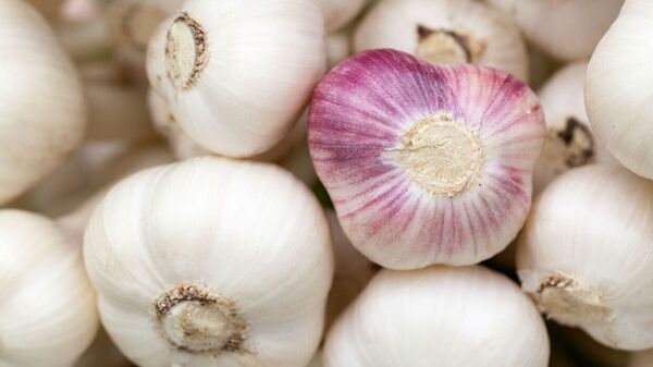 Garlic : খালি পেটে খান এক কোয়া রসুন, পাবেন এই ৮ টি দুর্দান্ত উপকার – Eat a clove of garlic on an empty stomach, you will get these 8 great benefits