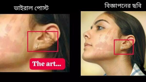 সেই ছবি সেই ছবি