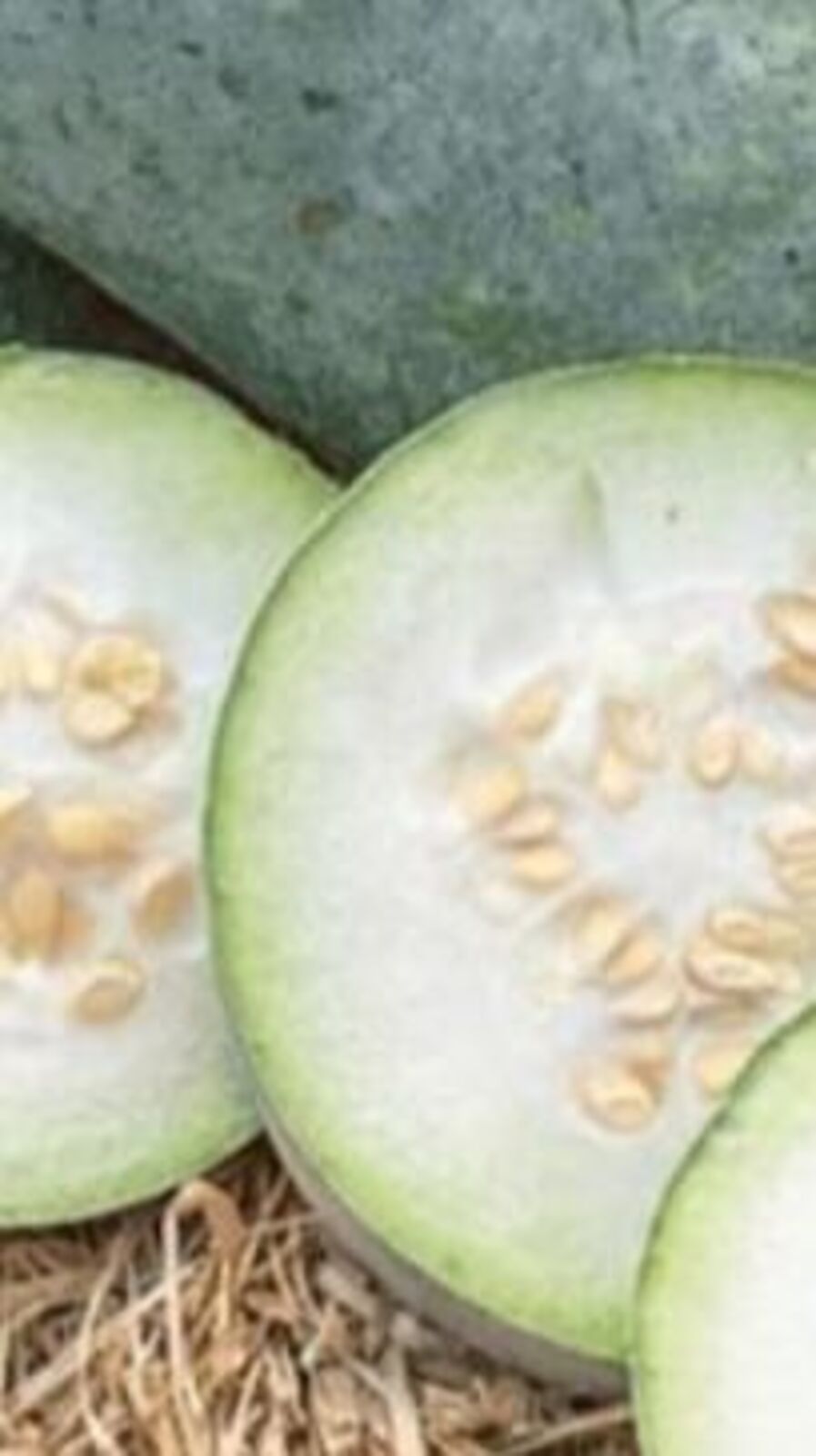 এই সবজিতেই কোষ্ঠকাঠিন্য হবে দূর