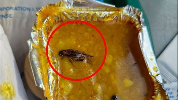 Dead Cockroach in Vande Bharat Meal: বন্দে ভারতের খাবারে আরশোলা! সোশ্যাল মিডিয়ায় লিখতেই ঘুম ভাঙল আইআরসিটিসির, এল জবাব