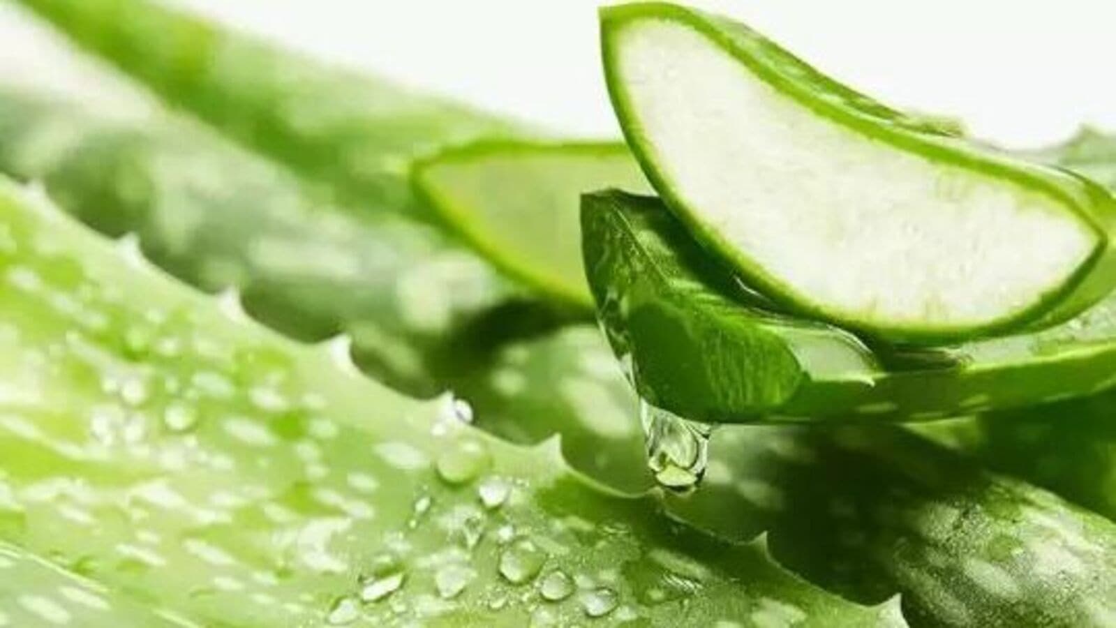 Qora tanlilar bilan porno komikslar vk