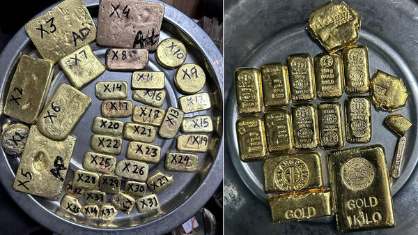 Youtuber arrested for gold smuggling: সোনা পাচারের জন্য এয়ারপোর্টে দোকান খুলল ইউটিউবার, ২ মাসে কামিয়ে ফেলল ৩ কোটি টাকা