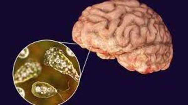 Brain-eating amoeba: সাঁতার কাটতে গিয়ে বিপত্তি, ‘ব্রেন ইটিং’ অ্যামিবায় আক্রান্তের মৃত্যু পাকিস্তানে